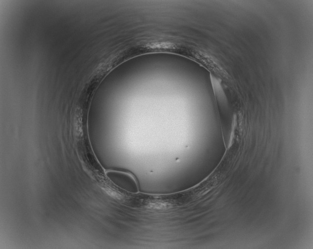 X0000083000547200702160052