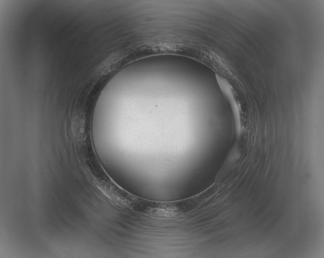 X0000083000548200702160052