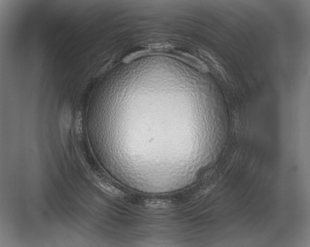 X0000083000549200702160052