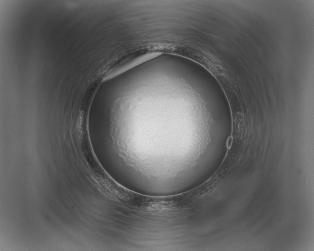 X0000083000550200702160052