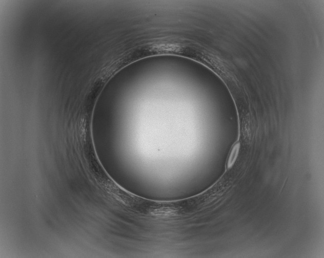 X0000083000551200702160052