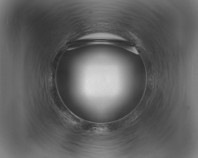 X0000083000552200702160052