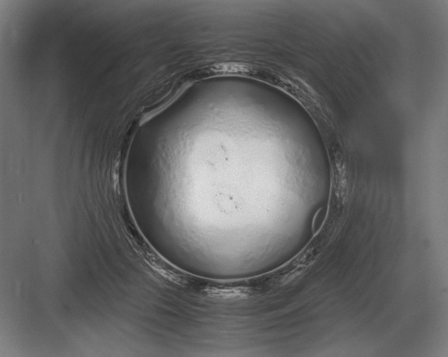 X0000083000553200702160052