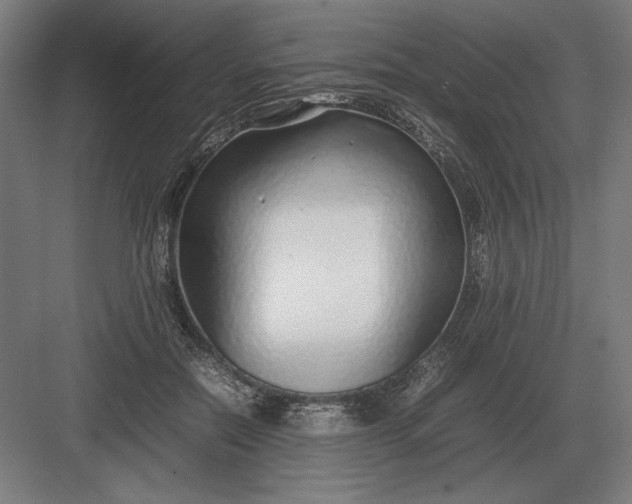 X0000083000554200702160052