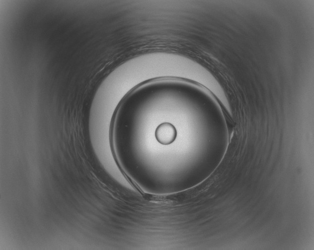 X0000083000556200702160052