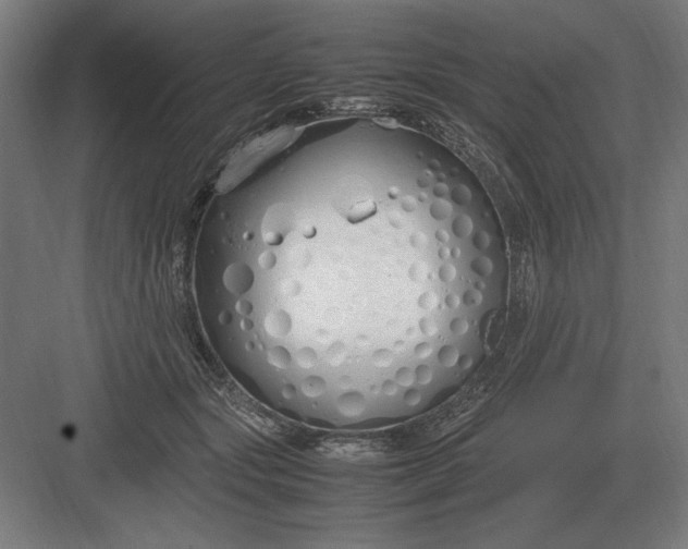 X0000083000557200702160052