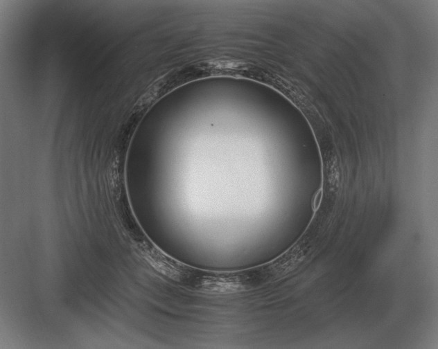 X0000083000559200702160052