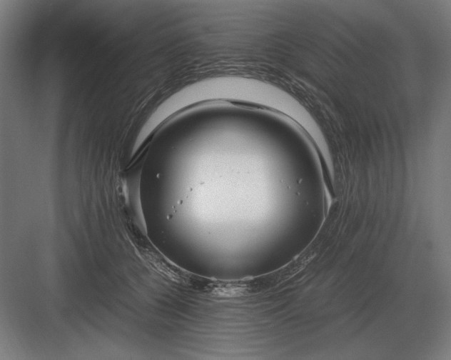 X0000083000560200702160052