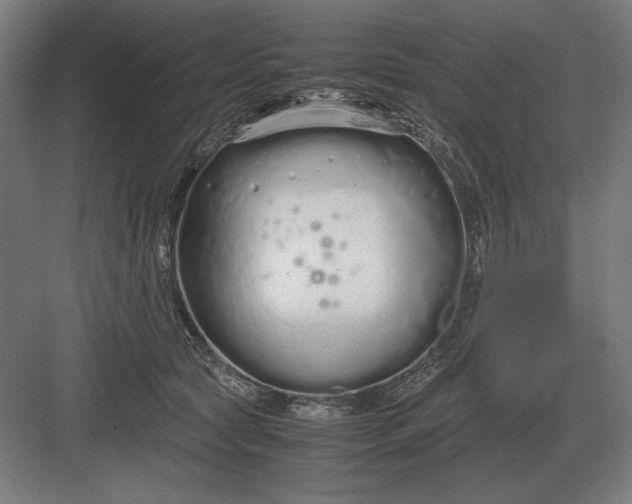 X0000083000561200702160052