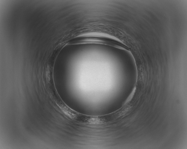 X0000083000562200702160052