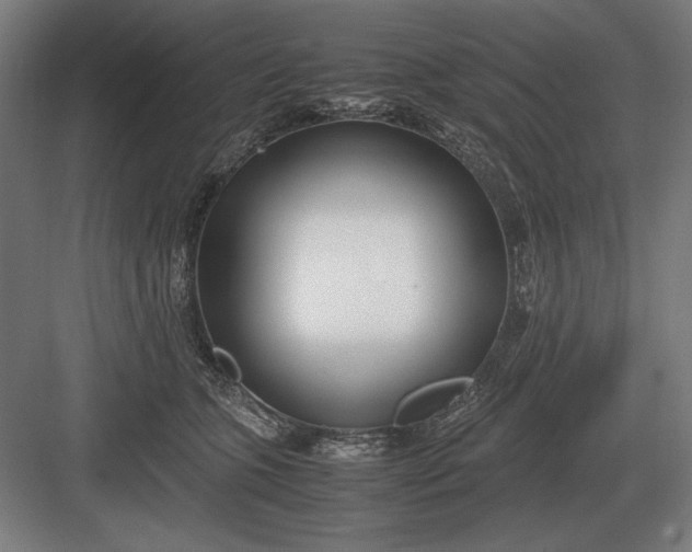 X0000083000563200702160052