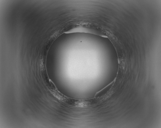 X0000083000564200702160052