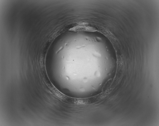 X0000083000565200702160052