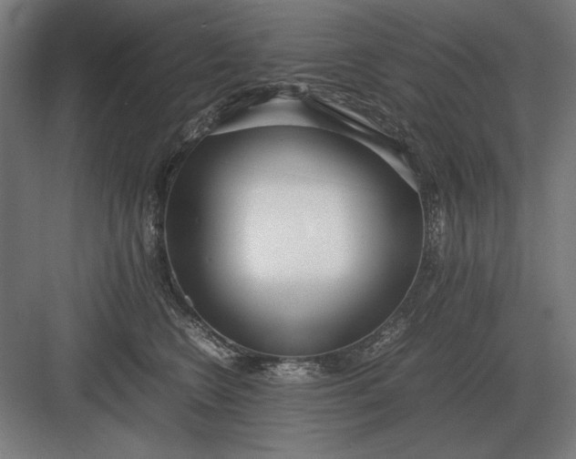 X0000083000566200702160052