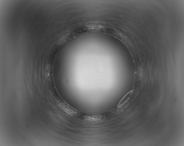 X0000083000567200702160052