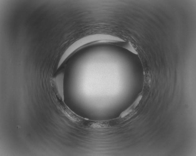 X0000083000568200702160052