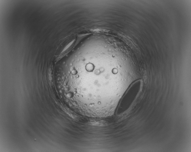 X0000083000569200702160052