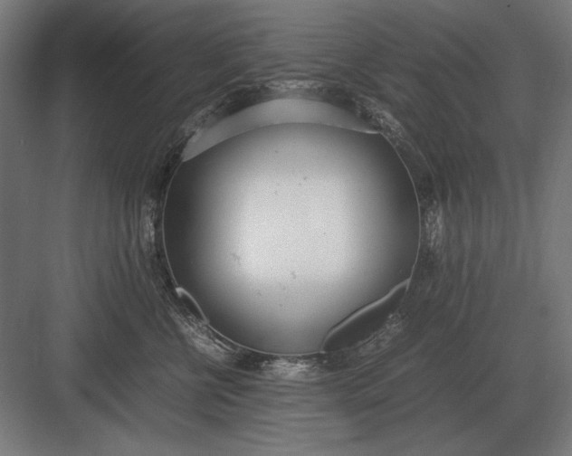 X0000083000570200702160052