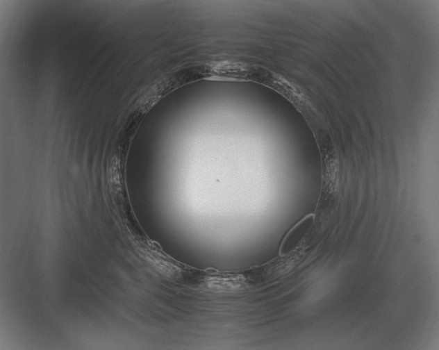 X0000083000571200702160052