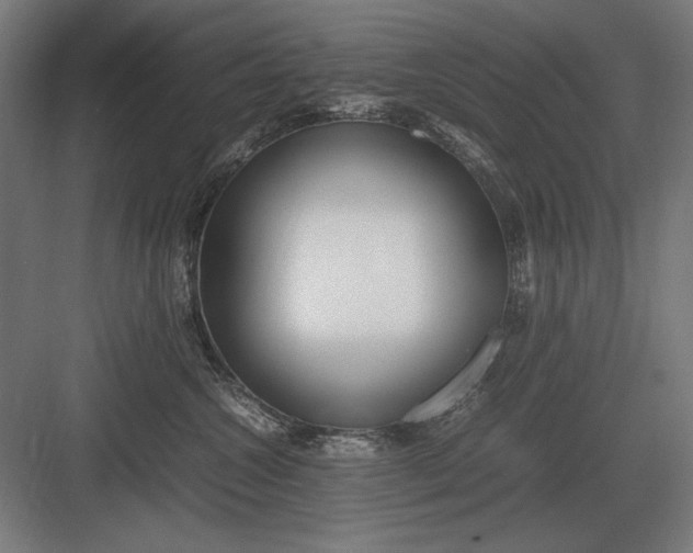 X0000083000572200702160052