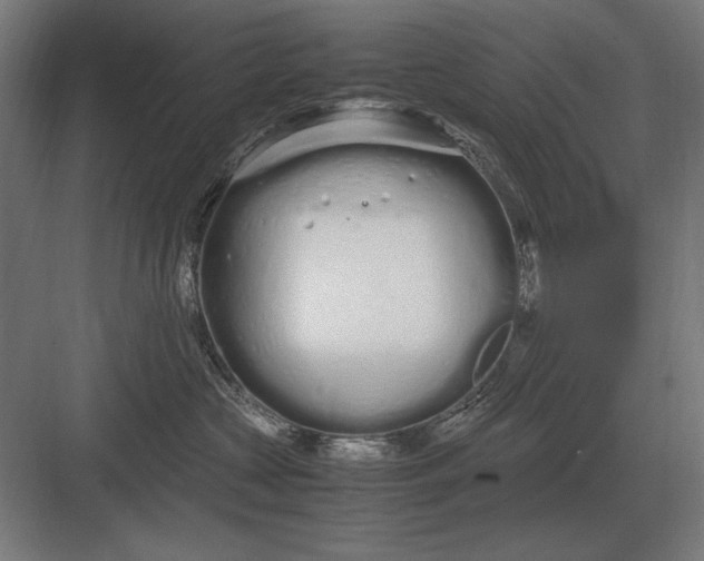 X0000083000573200702160052