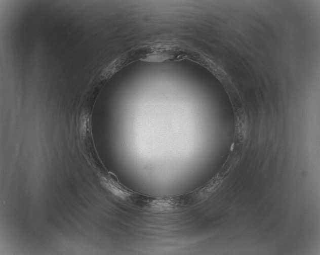 X0000083000574200702160052