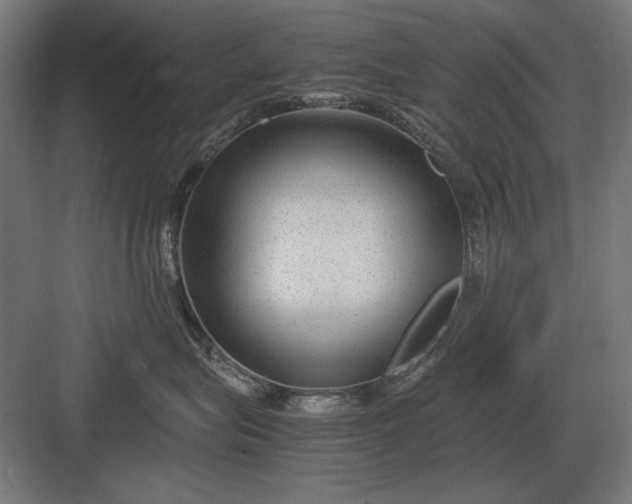 X0000083000575200702160052