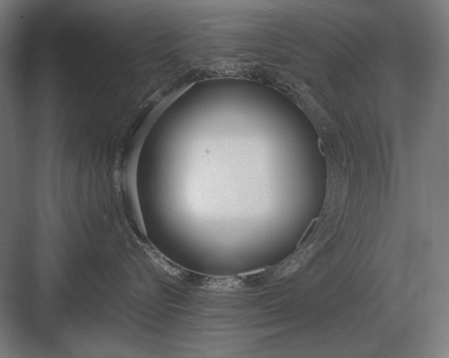 X0000083000576200702160052