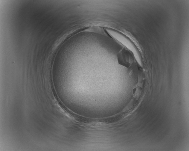 X0000083000577200702160052