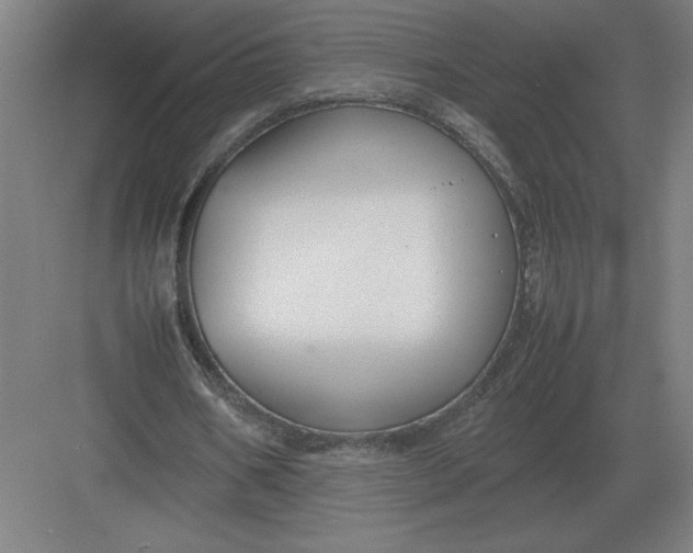 X0000083000578200702160052