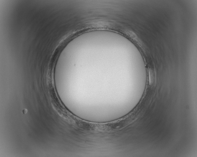 X0000083000579200702160052