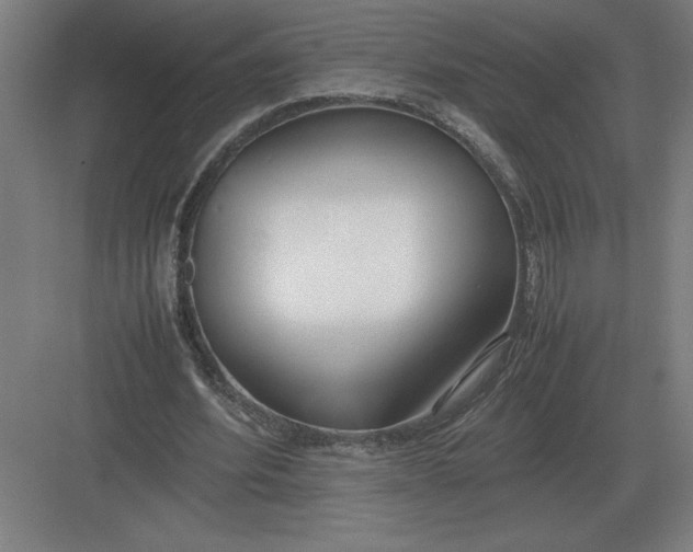 X0000083000580200702160052