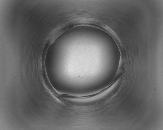 X0000083000581200702160051