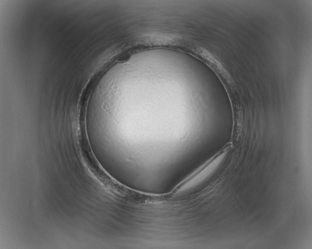 X0000083000582200702160051