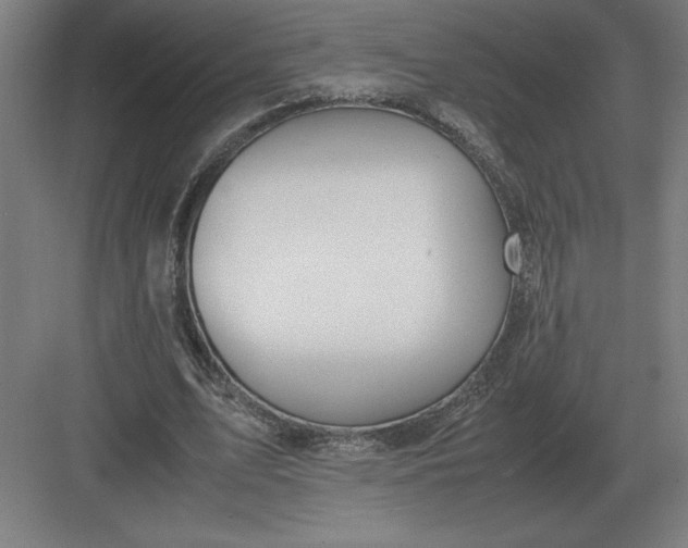 X0000083000583200702160051