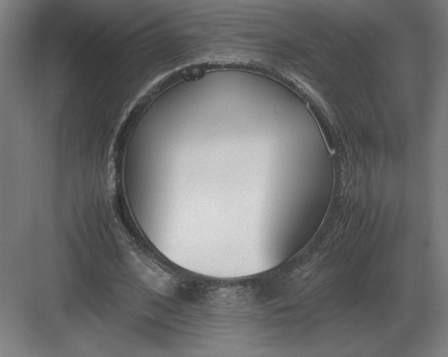 X0000083000584200702160051