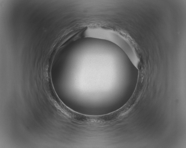 X0000083000585200702160051