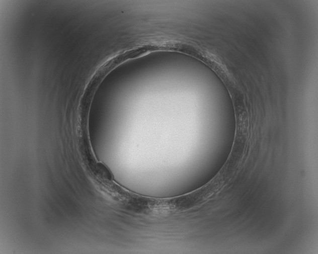 X0000083000587200702160051