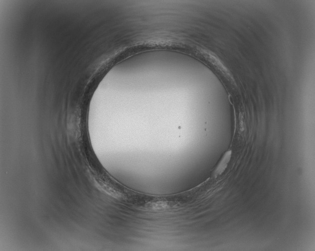 X0000083000588200702160051