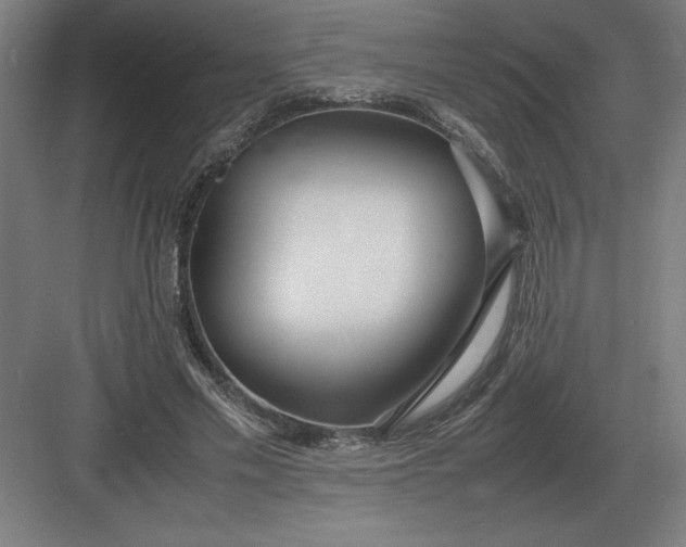 X0000083000589200702160051