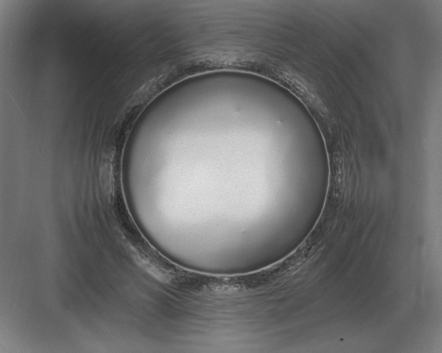 X0000083000590200702160051