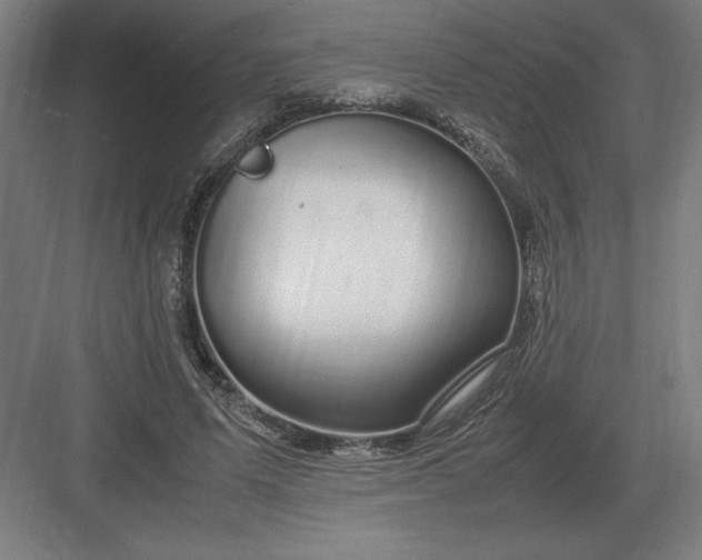 X0000083000591200702160051