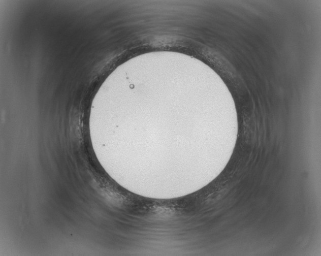 X0000083000592200702160051