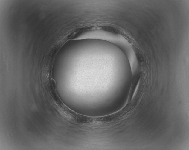 X0000083000593200702160051