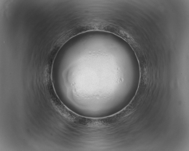 X0000083000594200702160051