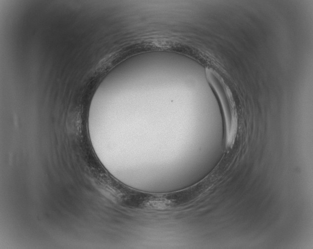 X0000083000595200702160051