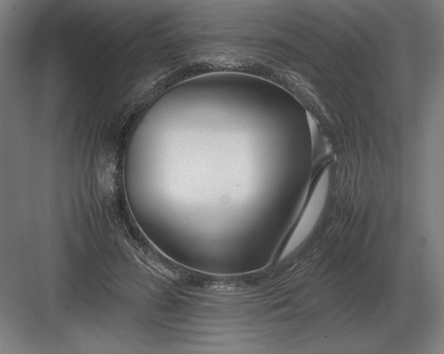 X0000083000596200702160051