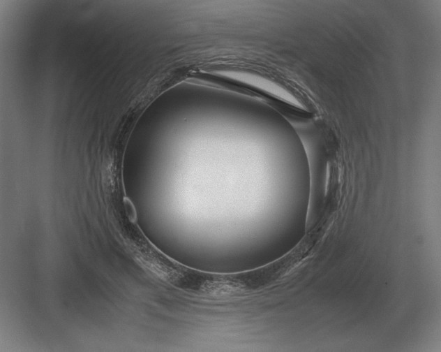 X0000083000597200702160051