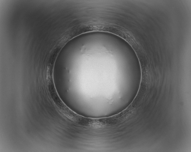 X0000083000598200702160051