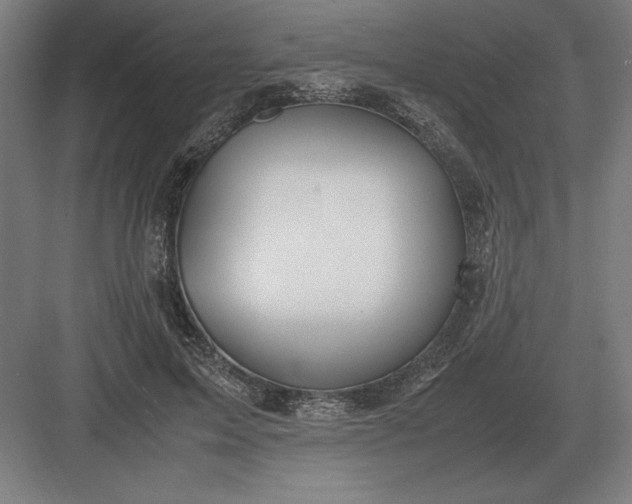 X0000083000599200702160051